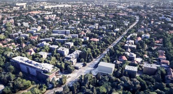 Pálma: Boros József visszalép