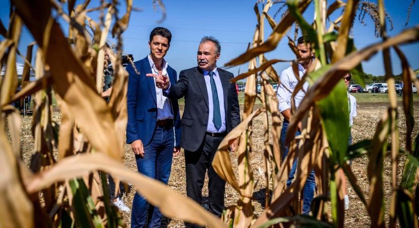 A repülőtéren fogták el a szegedi Fidesz elnökét