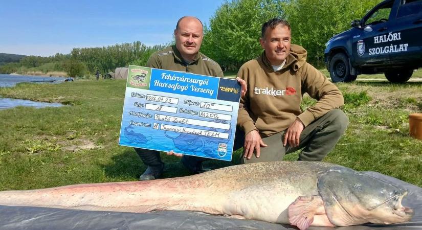 Több mint száz harcsát fogtak ki a víztározóból!