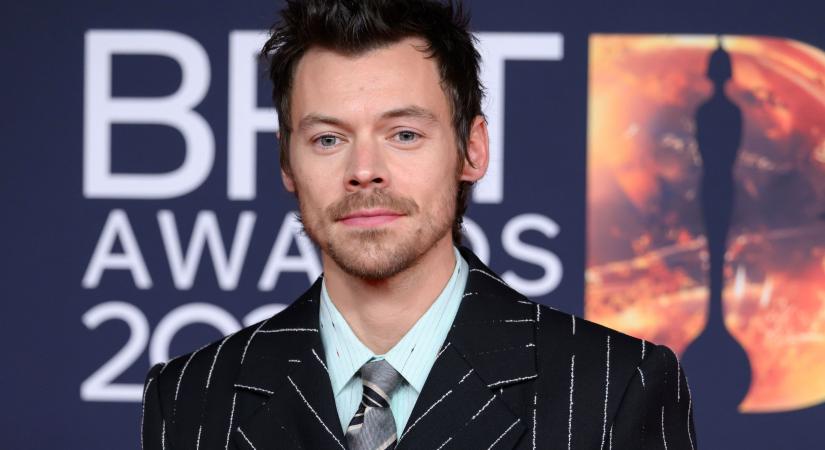 Harry Styles nemcsak eljegyezte Zoë Kravitzet, de már gyermeket is nagyon szeretne tőle