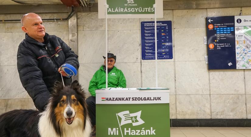 Néhány gondolat a bukás után