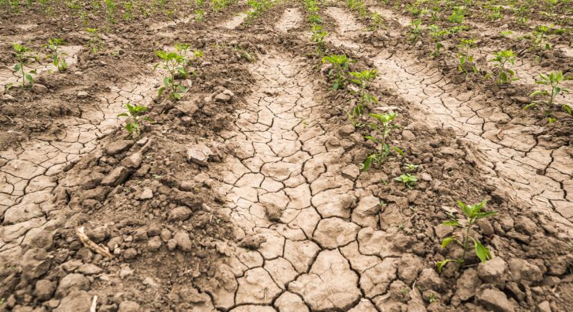 Drámai a helyzet Magyarországon: nagyon közel a történelmi mélypont