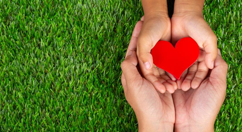 A legszebb ajándék a biztonság: gyermekelsősegély-oktatás anyák napja alkalmából