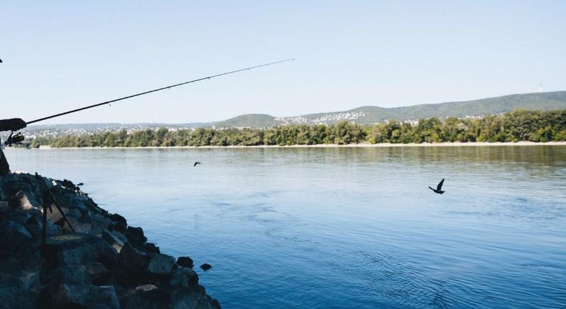 Félrevezető információk terjedtek – megszólalt az egyesület