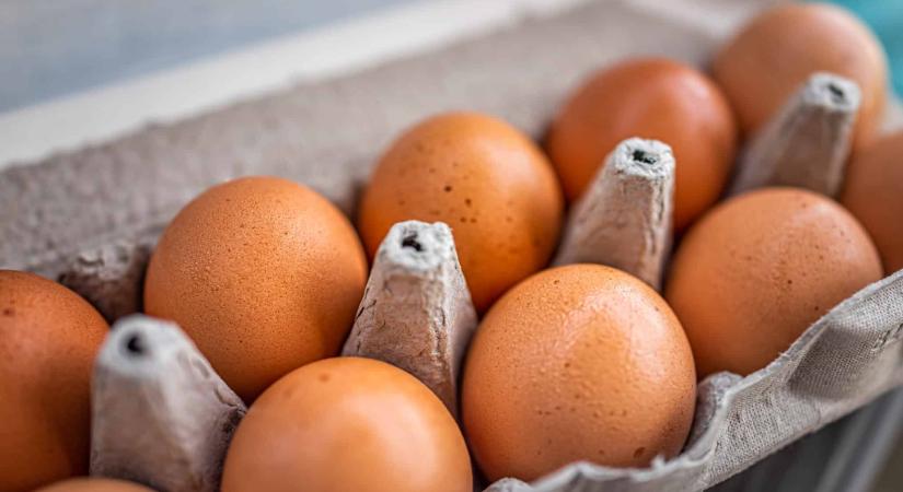 Tojásfeldolgozó üzem fejfájást okozó bűzében élnek egy somogyi községben – immár nyolc éve