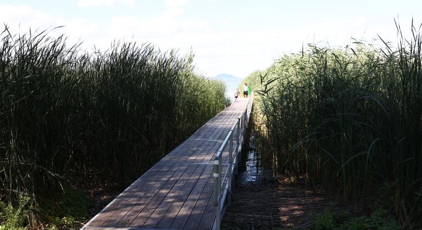 Nincs kegyelem, van bírság: folytatódik az illegális balatoni stégek bontása