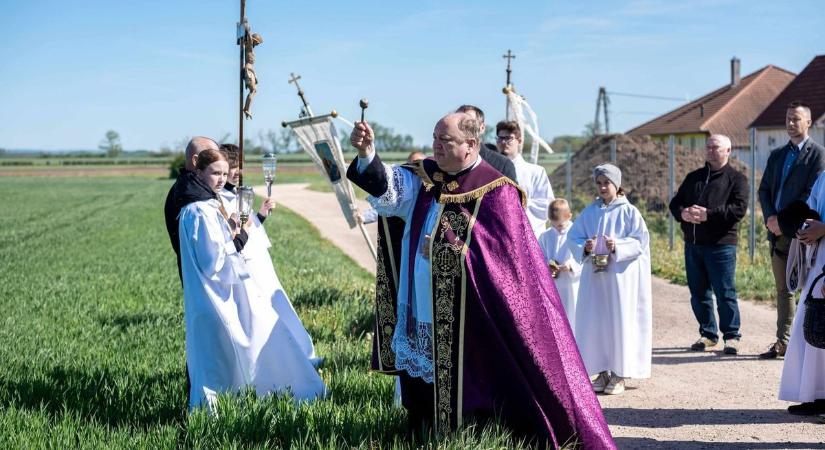 Keresztaljával vonultak a búzaszentelésre a kónyi hívek a falu határába - fotók