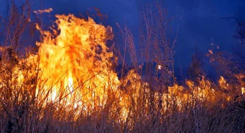 Drámai pillanatok Zalában! Több száz négyzetméteren égett az erdő alja