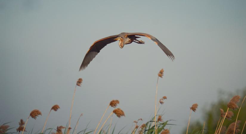 Budapesti szélrekordot hozott a vasárnapi hidegfront
