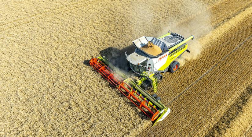 Átrendeződik a magyar gabonapiac: teljesen új felállás jöhet