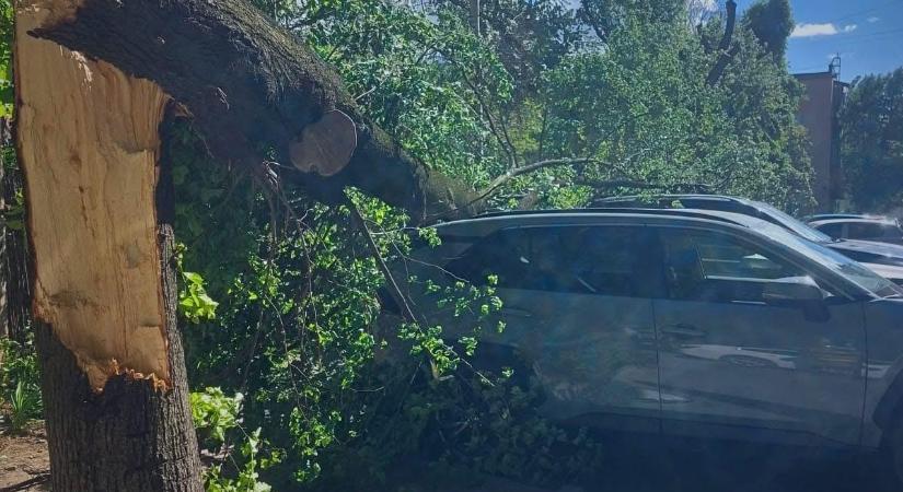 Erős szél okozott halálos balesetet megyénkben