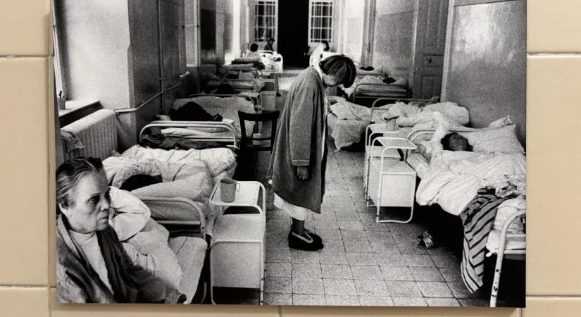 A diagnózis: rendszerhiba