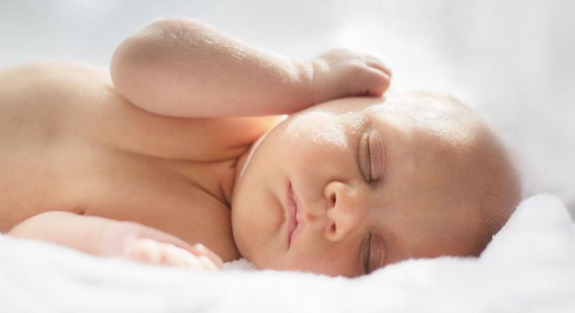 11 kisbaba született pár nap alatt Veszprémben