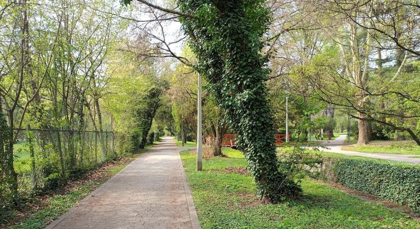 Ködfátyol mögött érkezik a tavaszias fordulat – ilyen lesz az idő kedden