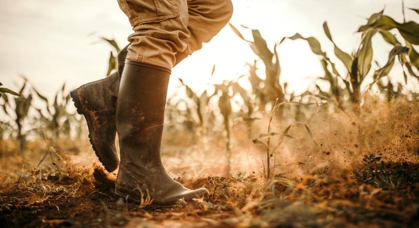 Itt a friss előrejelzés: olyan időjárás jön, aminek nem sokan fognak örülni