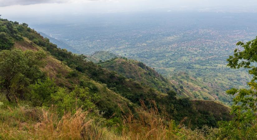 Még az erdők is veszélybe kerültek az iráni háború miatt