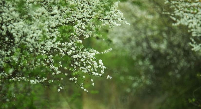 Hatalmas hőmérsékleti ugrás Zalaegerszegen - Ilyen lesz az idő kedden
