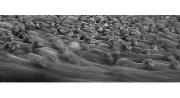 A puszta ideje – gondolatok a Hortobágyi Pásztormúzeum kapcsán