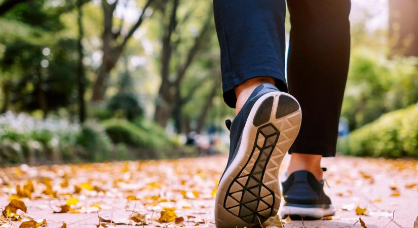 Nem kevesebbet, hanem okosabban