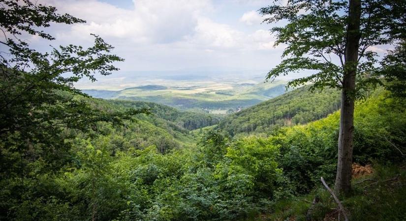 Felsőtárkányba vonult vissza a Barátok közt sztárja – romantikus fotót posztolt párjával