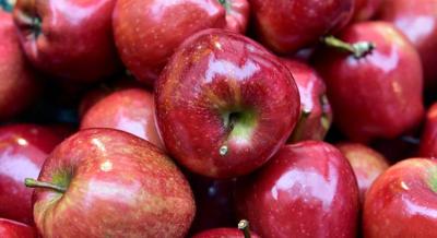 Almavirág Fesztivál, 2026. április 27. – május 3.