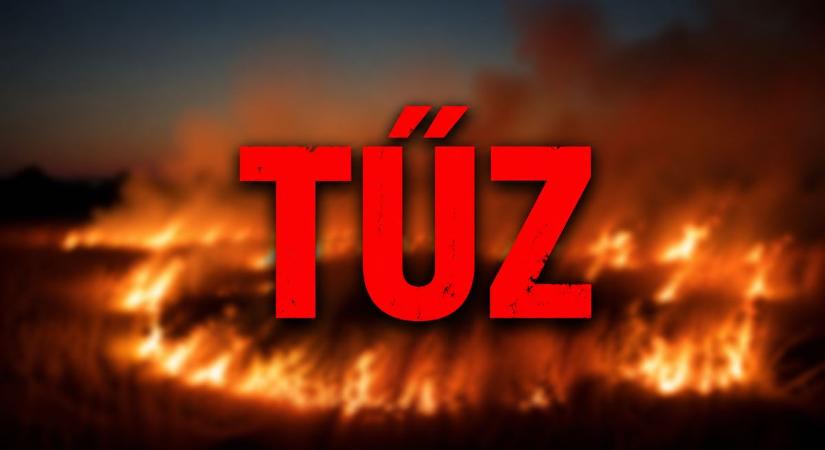 Tűz pusztított Újfehértónál: nagy erőkkel vonultak a tűzoltók