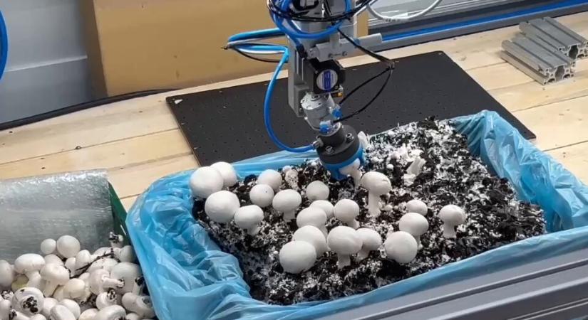 A Festo bemutatja a HPSX univerzális adaptív megfogót
