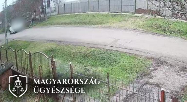 Villanyoszlophoz csapkodta a kutyát egy abonyi férfi, mert elragadta a csirkéjét