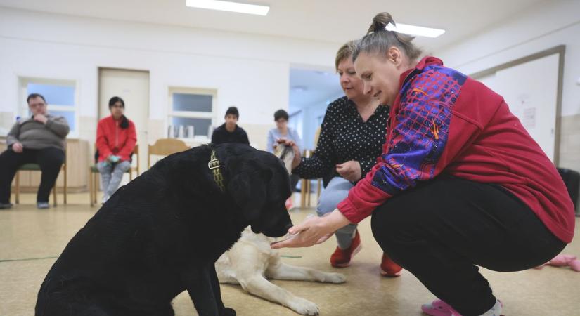Terápiás kutyák hozzák közelebb az örömöt és a gyógyulást a rehabilitációs intézet lakóihoz
