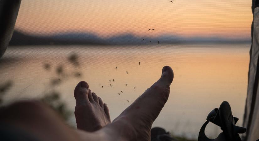 Óriási fordulat várható a Balatonnál 2026 nyarán: végre fellélegezhetnek a nyaralók?