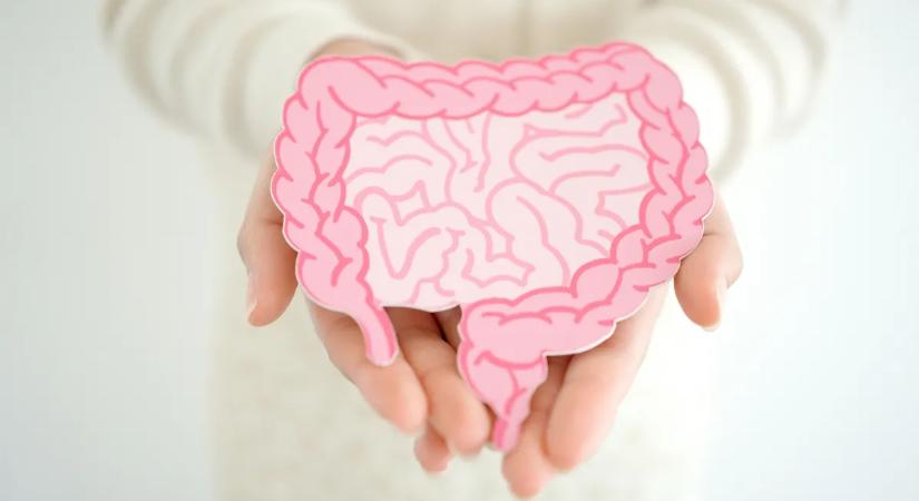 Megdöbbentő: akivel együtt élsz, az a beleidben is nyomot hagy