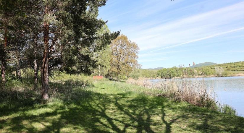 Medveészlelés Borsodban: utánajártunk a szombat esti történéseknek - videóval