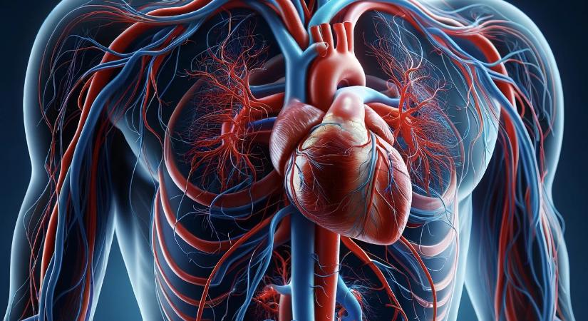 Közgyógyellátás 2026: kinek jár, hogyan történik a közgyógy igénylése?