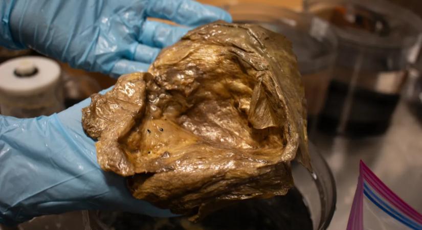 Megfejették a mélytengeri „aranygömb” rejtélyét