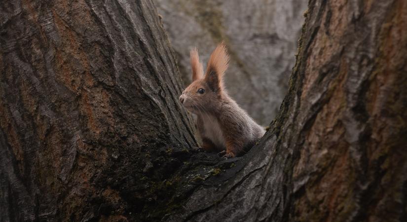 Fordulat az időjárásban: mutatjuk a 3 napos előrejelzést!