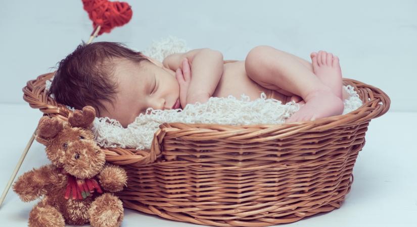 Az elhízás és az endokrin diszruptorok