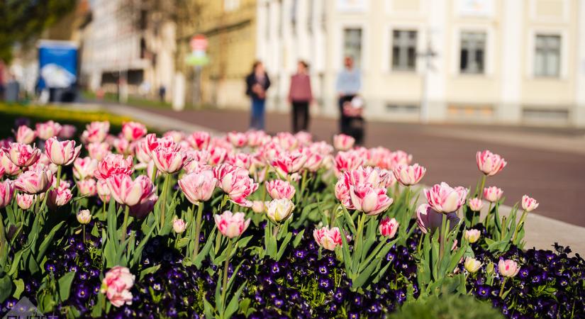 Gyakrabban megnövekszik a felhőzet, de a jó idő ígyis garantált