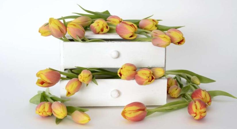 Hiszi, nem Hiszi? Napi horoszkóp: 2026. április 28., kedd