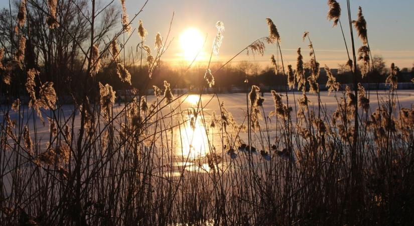Vége a hűvös napoknak: ekkor érkezik meg a valódi tavasz