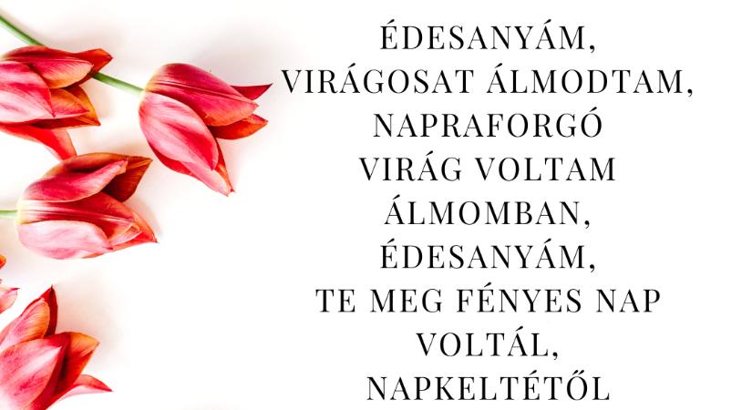 Anyák napja a Modern Iskolában – 5 inspiráló cikk, amit érdemes újra elővenni