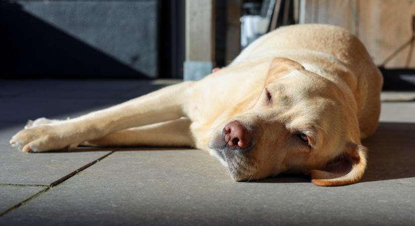Tavaszias meleg, kevés felhő