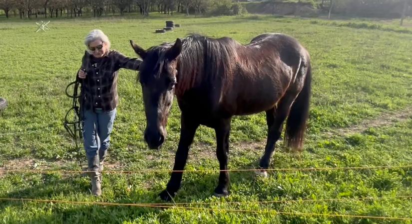 Őszinte kapcsolódás: Nyereg nélkül Zsivánnyal