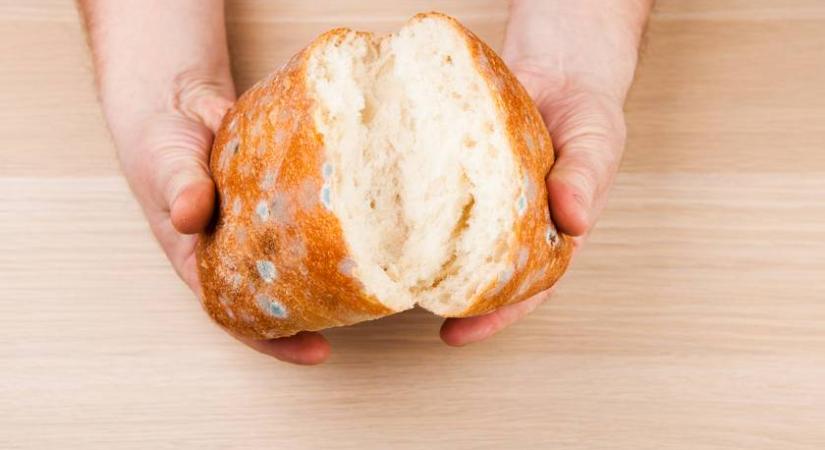 Ehető a kicsit penészes kenyér? Megdöbbentő eredményt mutatott a teszt