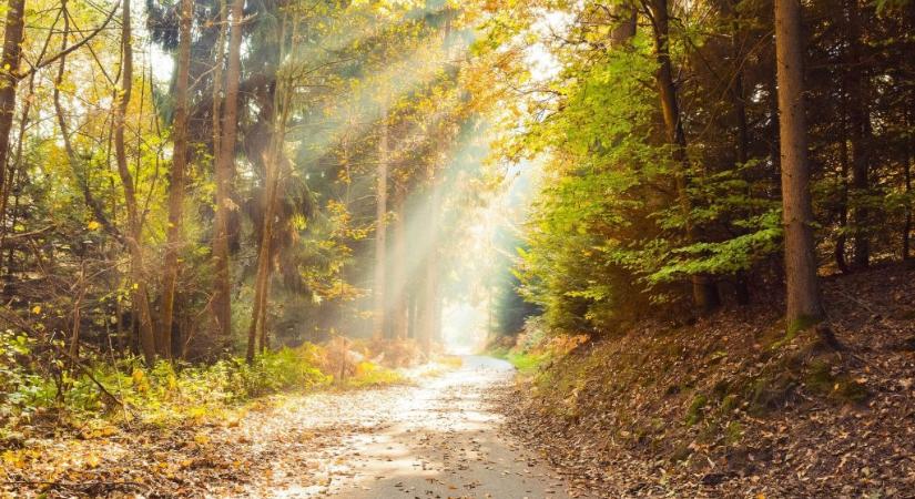 Mégsem fog esni május elsején