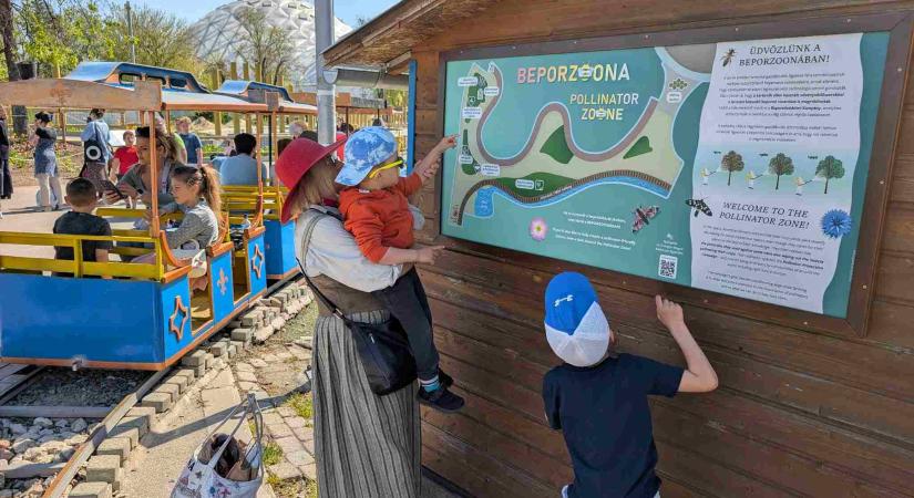 BeporZOOna! Zümmögő varázsvilág