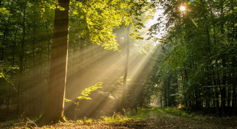 Napi üzenet kedd – 2026. 04. 28.