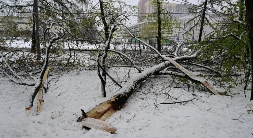 Moszkva környéke sötétségbe borult – senki nem érti, mi történt
