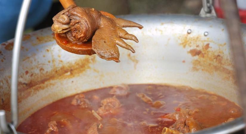 Pünkösd legjobban várt eseménye: te is benevezhetsz a versenybe!