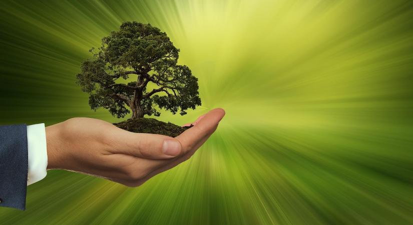 Mit jelent a kétsebességes fenntarthatóság?