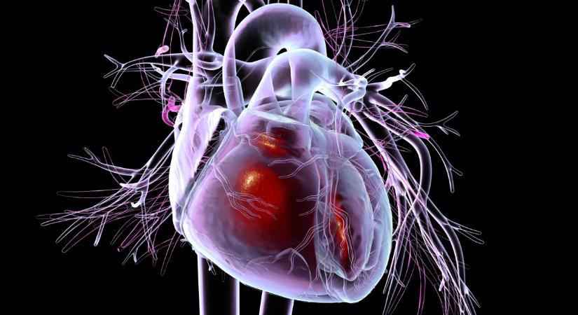 Megvan a gyümölcs, ami a szívbetegségek legnagyobb ellensége lehet